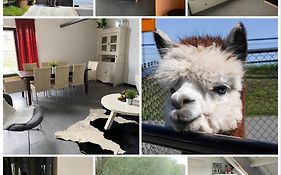 Herberg Boerderij De Straat-hof Bed And Breakfast