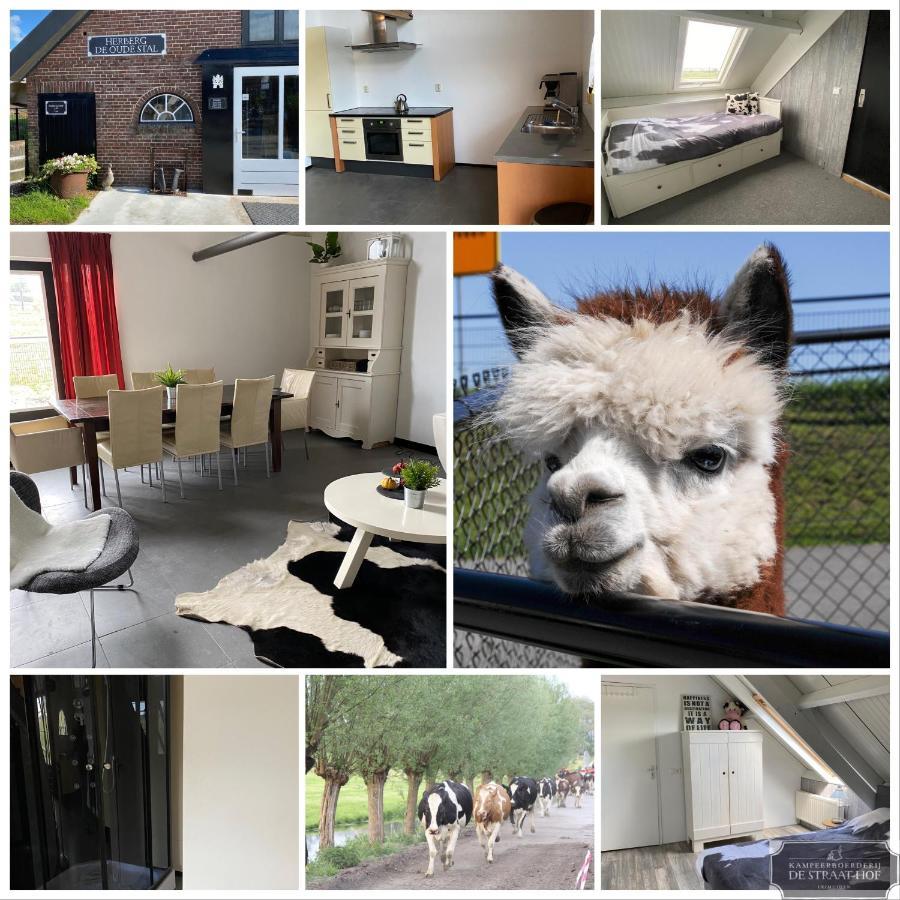 Herberg Boerderij de Straat-Hof Bed and Breakfast Leimuiden Buitenkant foto