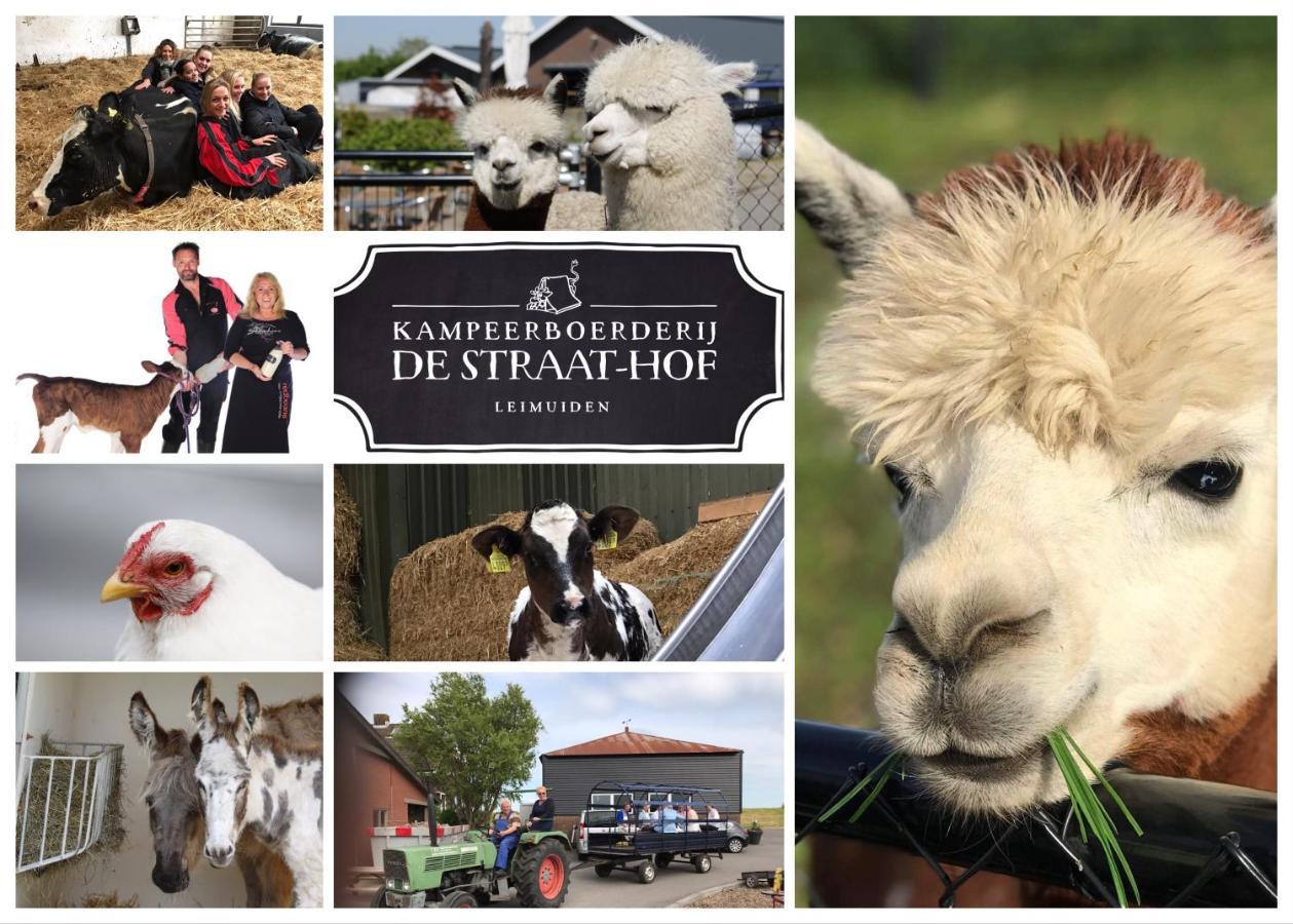 Herberg Boerderij de Straat-Hof Bed and Breakfast Leimuiden Buitenkant foto