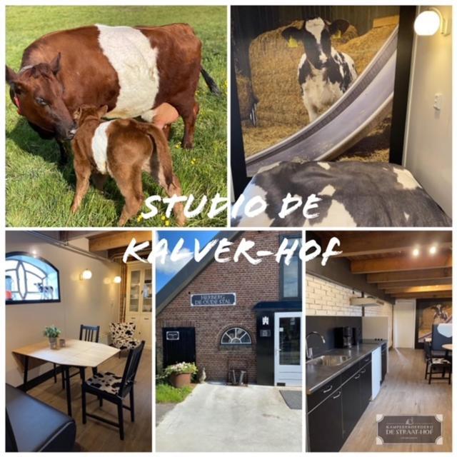 Herberg Boerderij de Straat-Hof Bed and Breakfast Leimuiden Buitenkant foto